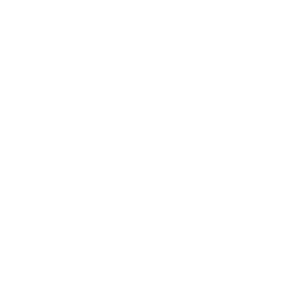 Ambigram NS